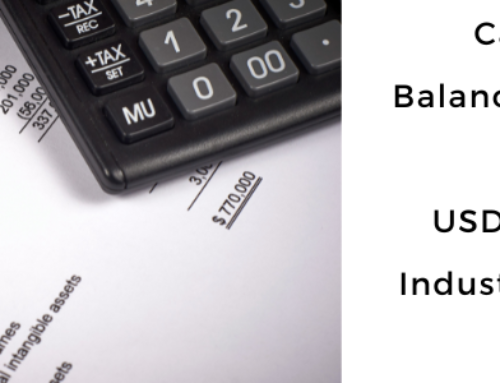 Existing Business Equity: Balance Sheet Equity Calculation for USDA Loans